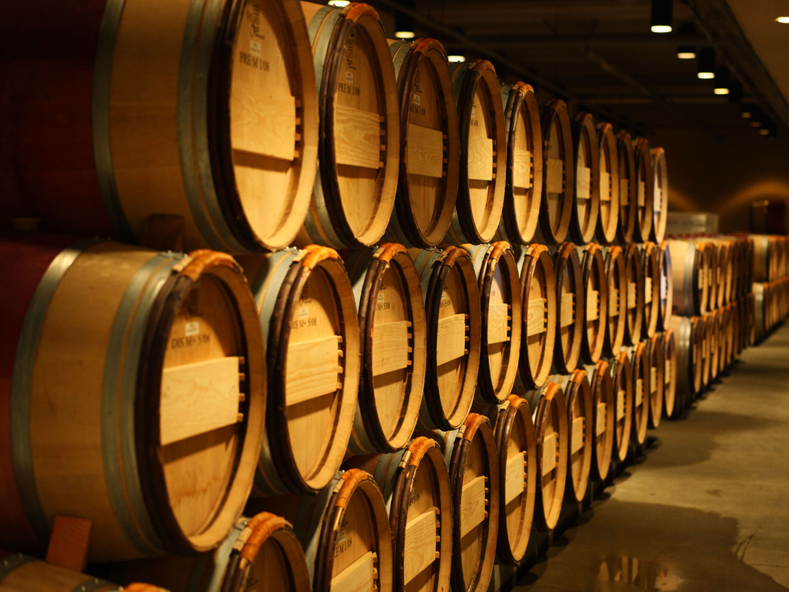 Wine tasting experience (Heraklion)