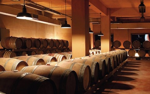 Wine cellar