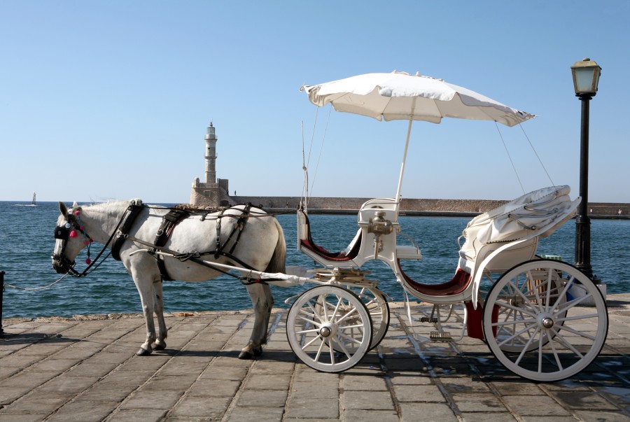 Chania - Horse drawn taxi